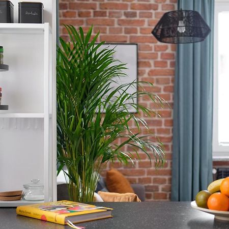 Mikroklimatyczny Apartament Dla 4 Osob - Blisko Szlakow, W Centrum Szklarska Poręba Esterno foto
